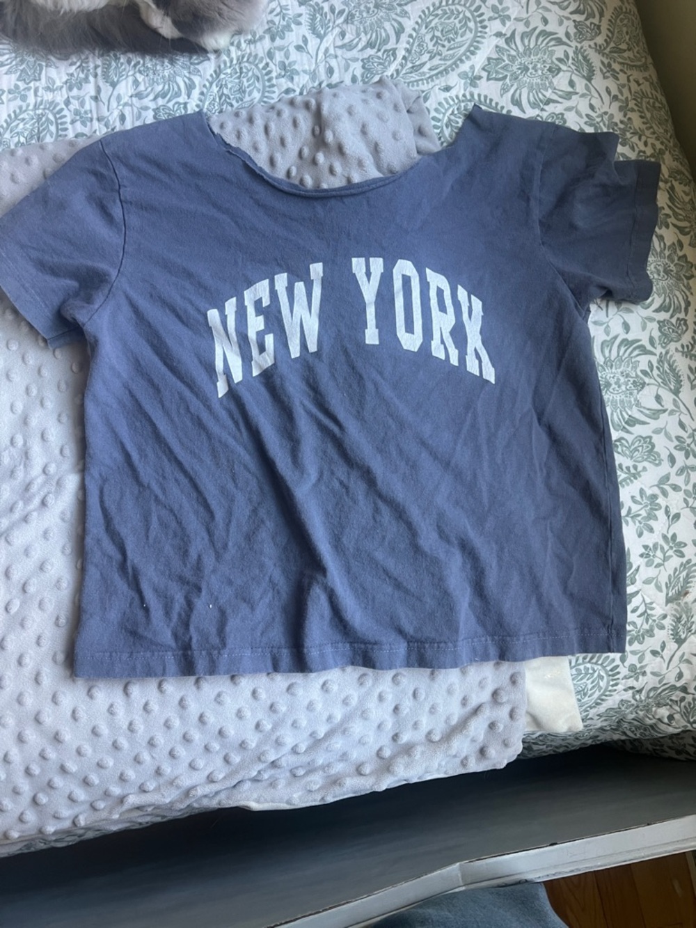 Brandy Melville Blue 'New York' Crop Tee